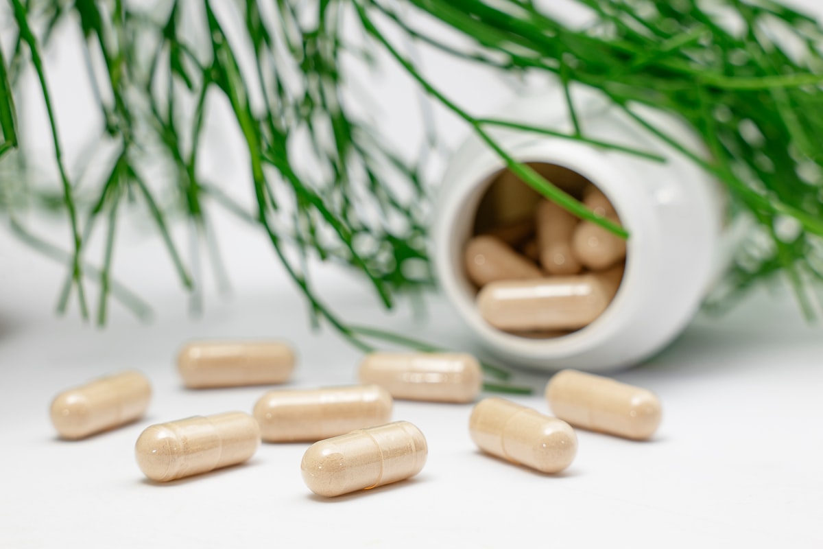 Mejeriprodukter som kilder til kalcium